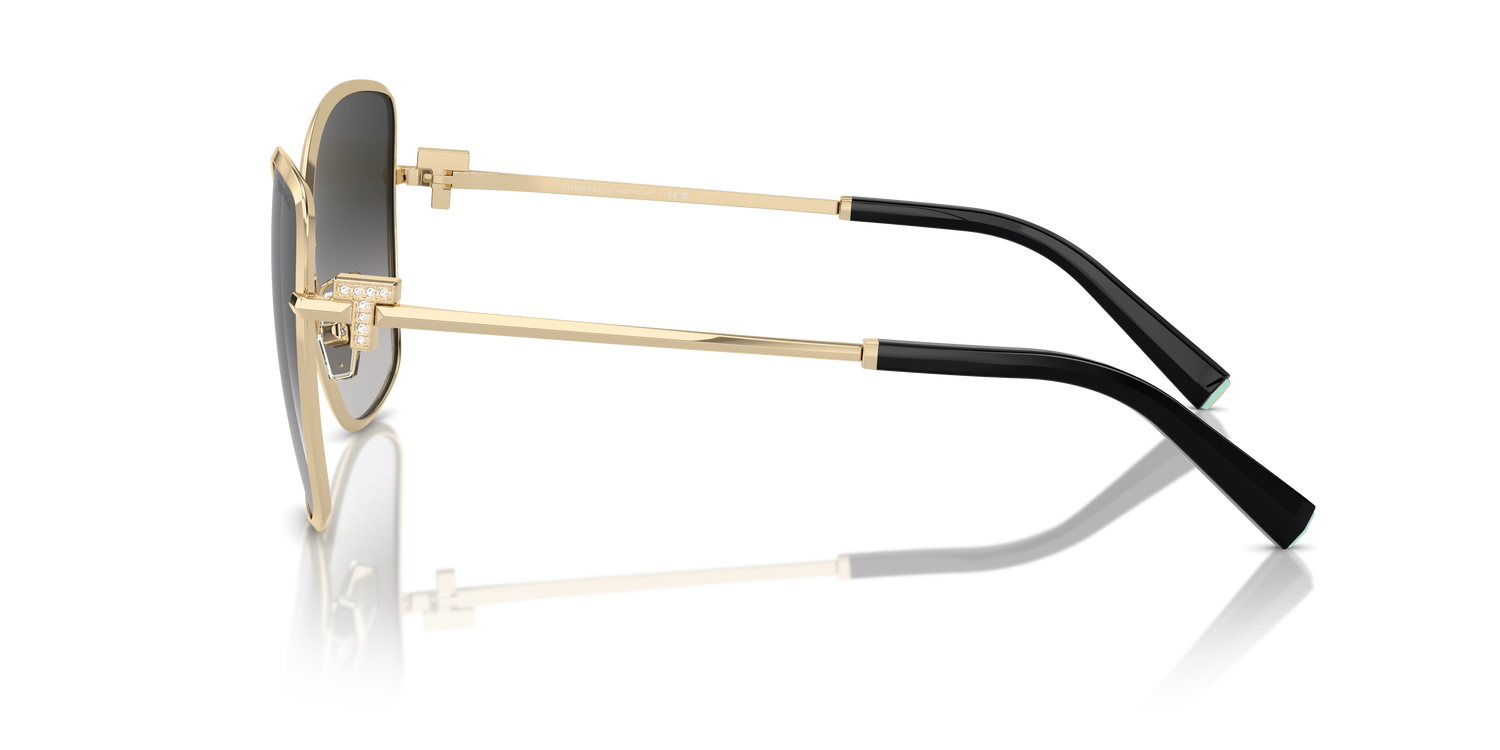 TIFFANY TF3102B 60213C 58