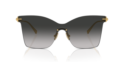 TIFFANY TF3103K 62113C 43