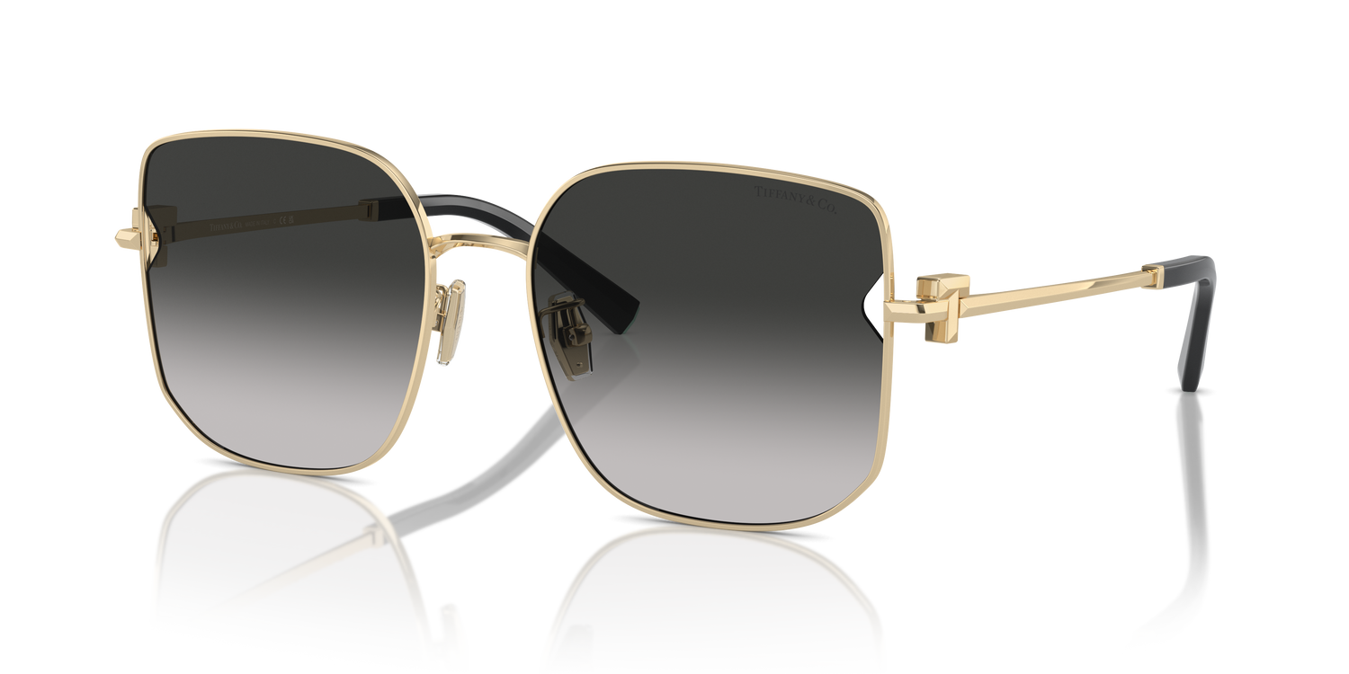 TIFFANY TF3105D 6021S4 58