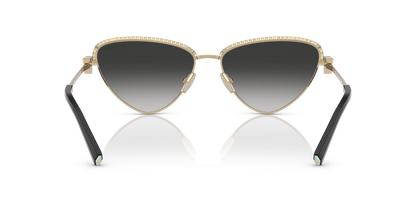 TIFFANY TF3107KB 62203C 59