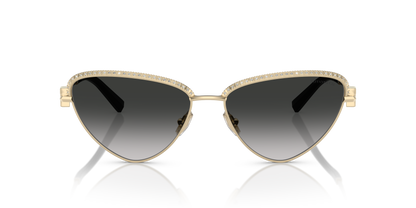 TIFFANY TF3107KB 62203C 59