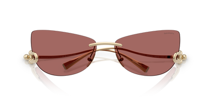 TIFFANY TF3112K 622569 72