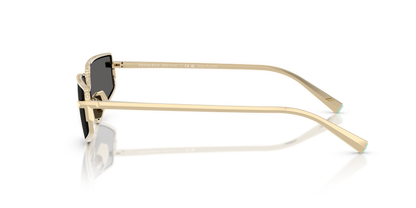 TIFFANY TF3113KB 6220S4 60