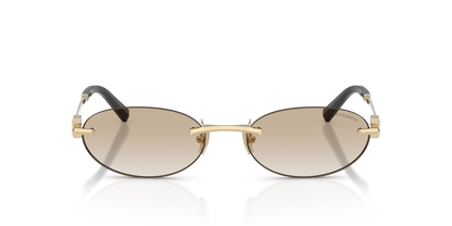 TIFFANY TF3119D 623911 56