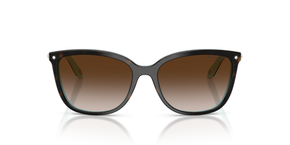 TIFFANY TF4105HB 81343B 55