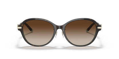 TIFFANY TF4188D 81343B 55