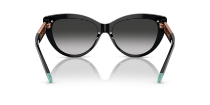 TIFFANY TF4196 80013C 56