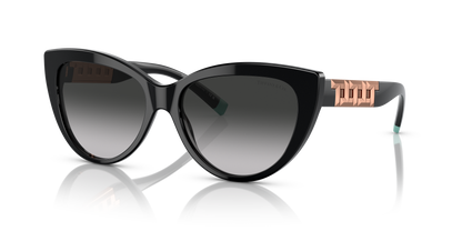 TIFFANY TF4196 80013C 56