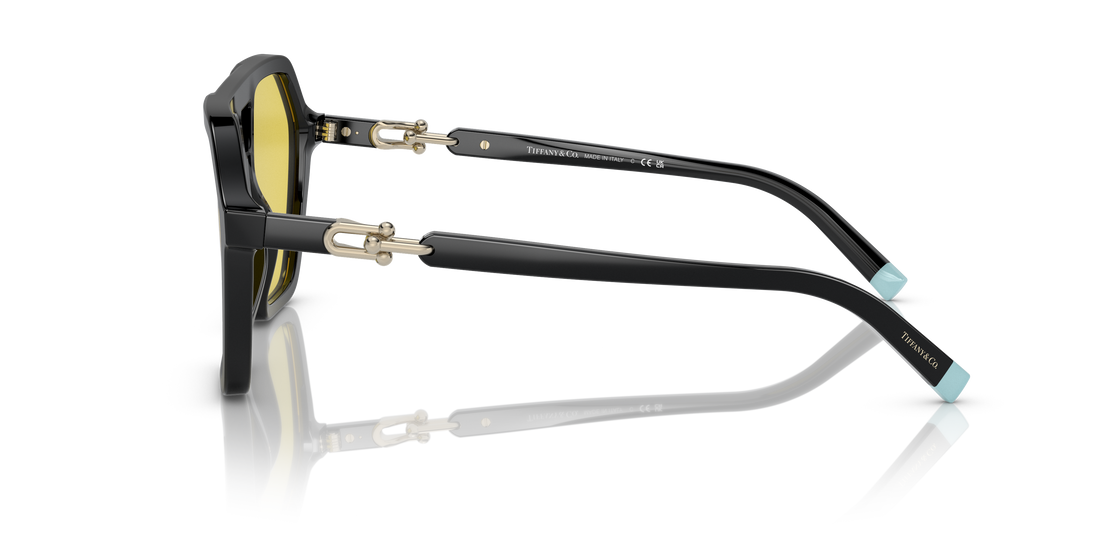 TIFFANY TF4198 800185 58