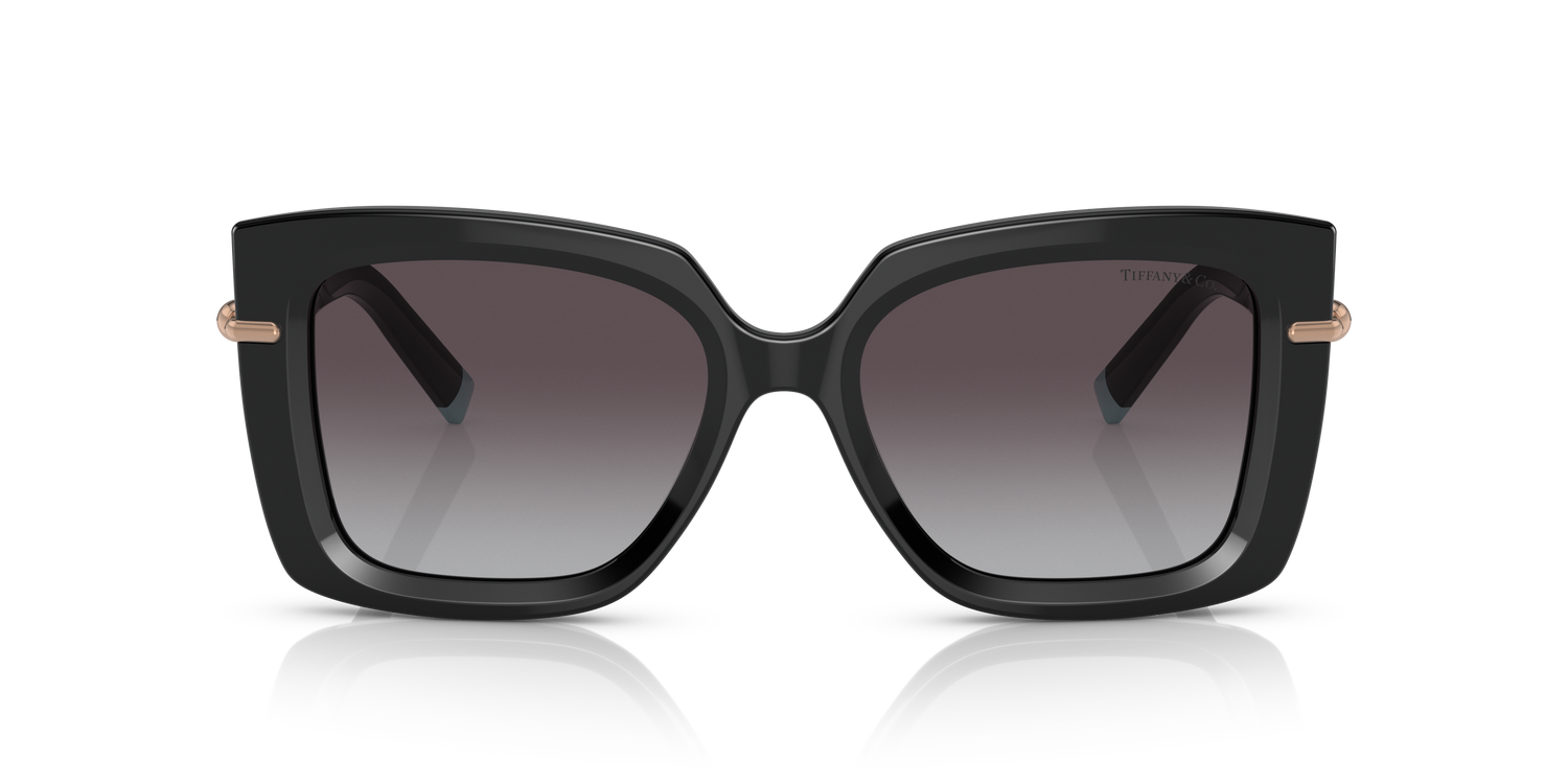 TIFFANY TF4199 80013C 53