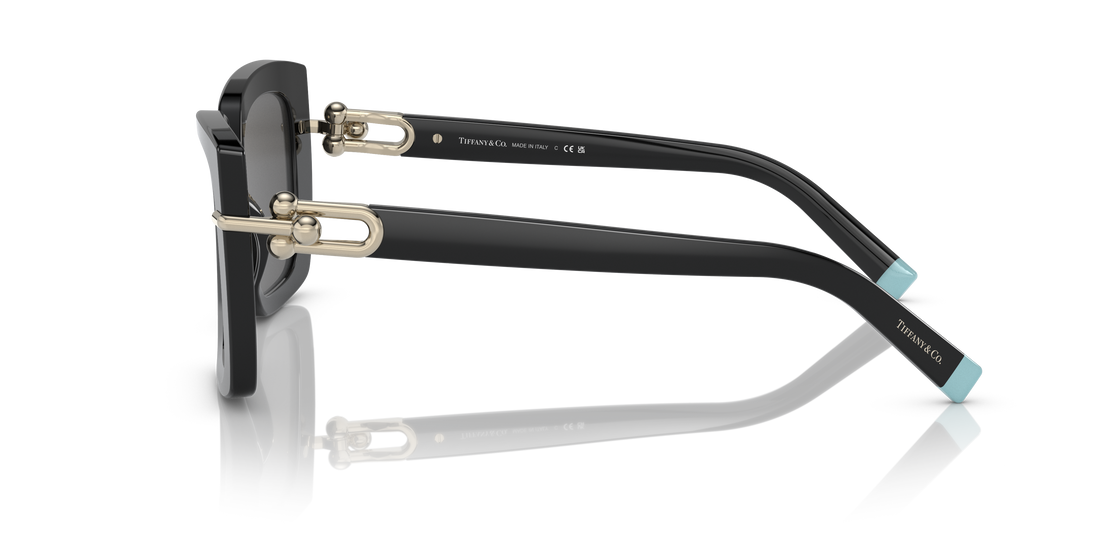 TIFFANY TF4199 8001S4 53