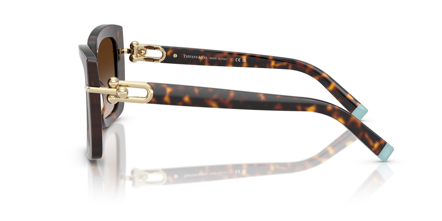 TIFFANY TF4199 80153B 53