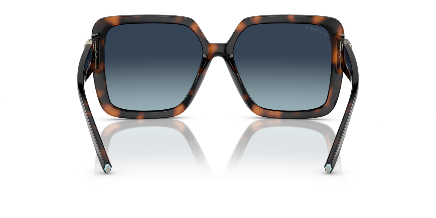 TIFFANY TF4206U 80154U 58