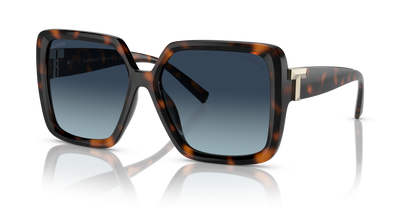 TIFFANY TF4206U 80154U 58