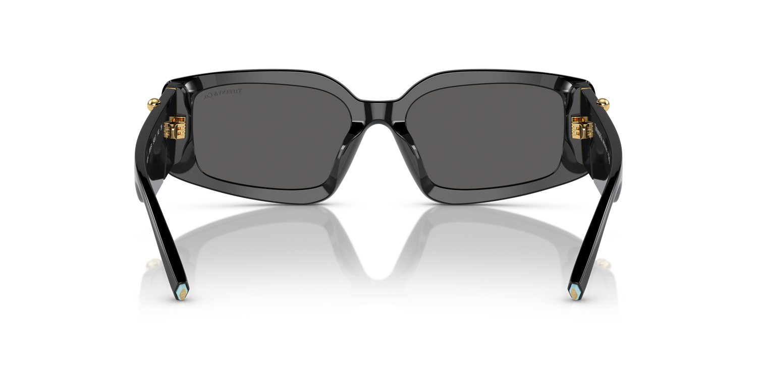 TIFFANY TF4208U 8001S4 54