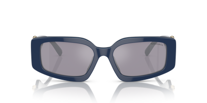 TIFFANY TF4208U 83852S 54