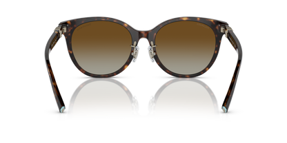 TIFFANY TF4209D 8015T5 54