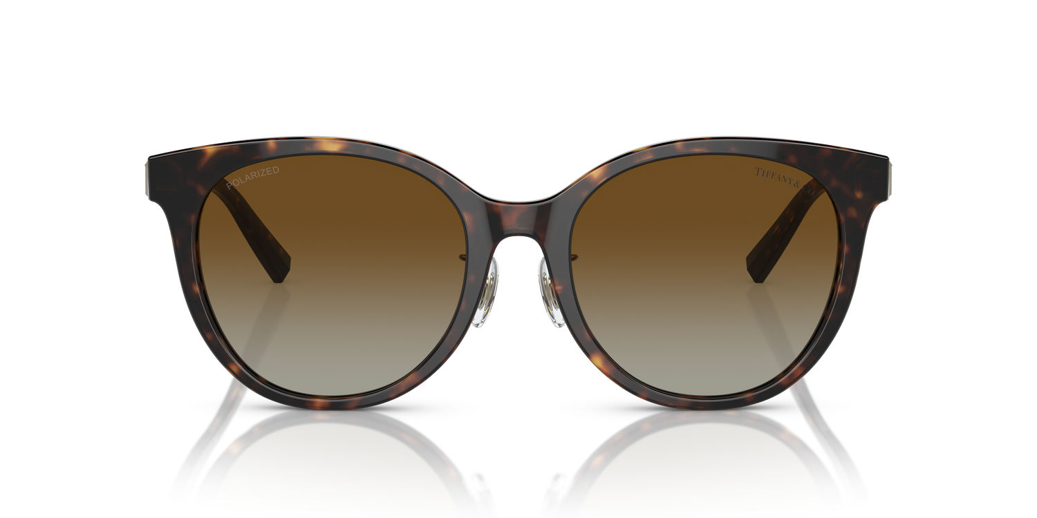 TIFFANY TF4209D 8015T5 54