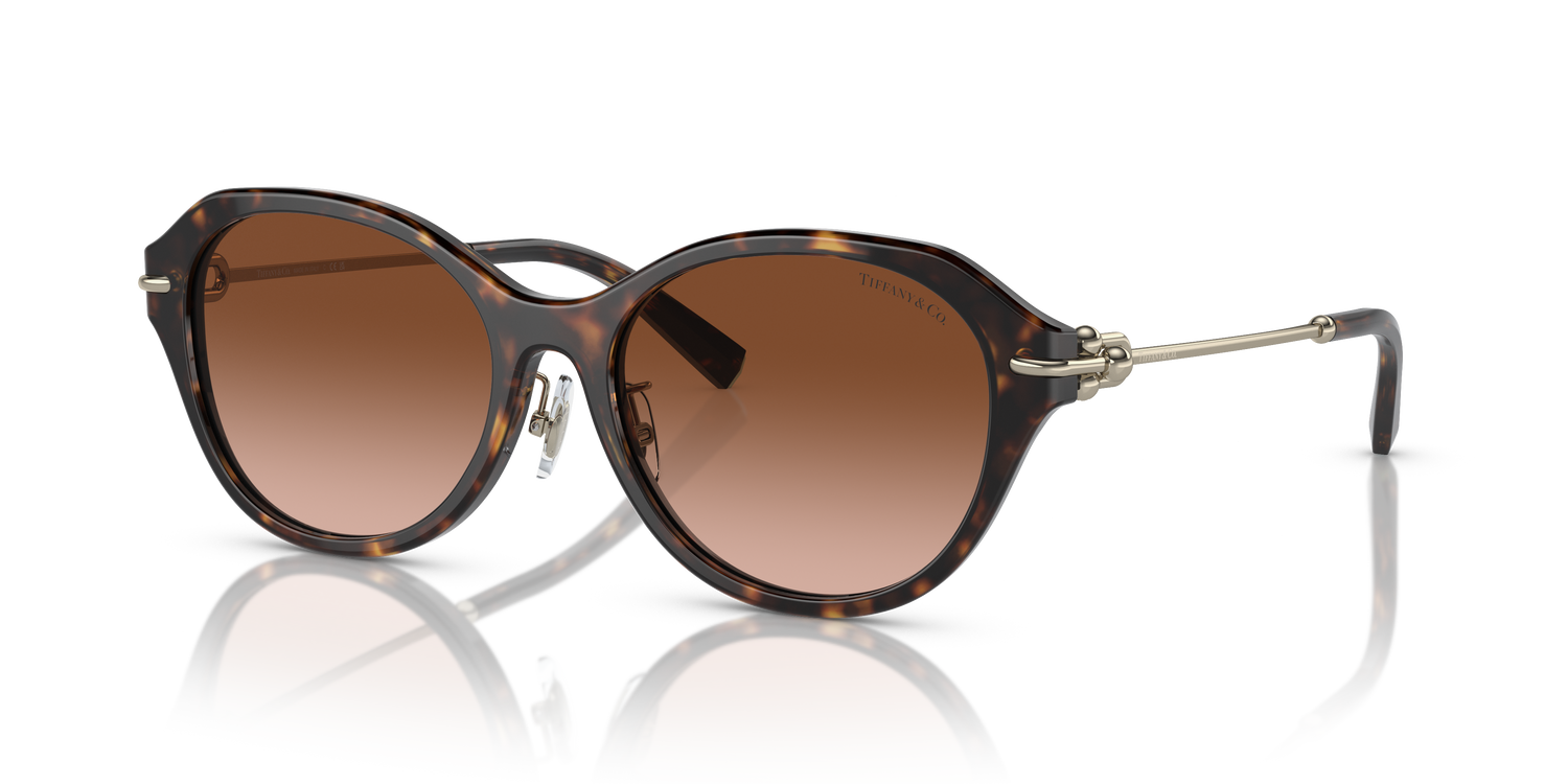 TIFFANY TF4210D 80153B 54