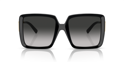 TIFFANY TF4212U 80013C 55