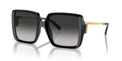 TIFFANY TF4212U 80013C 55