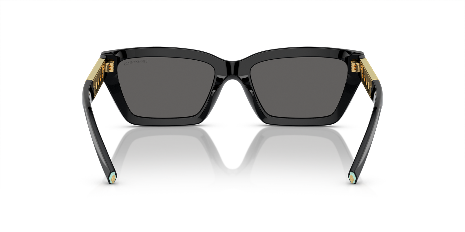 TIFFANY TF4213 8001S4 54