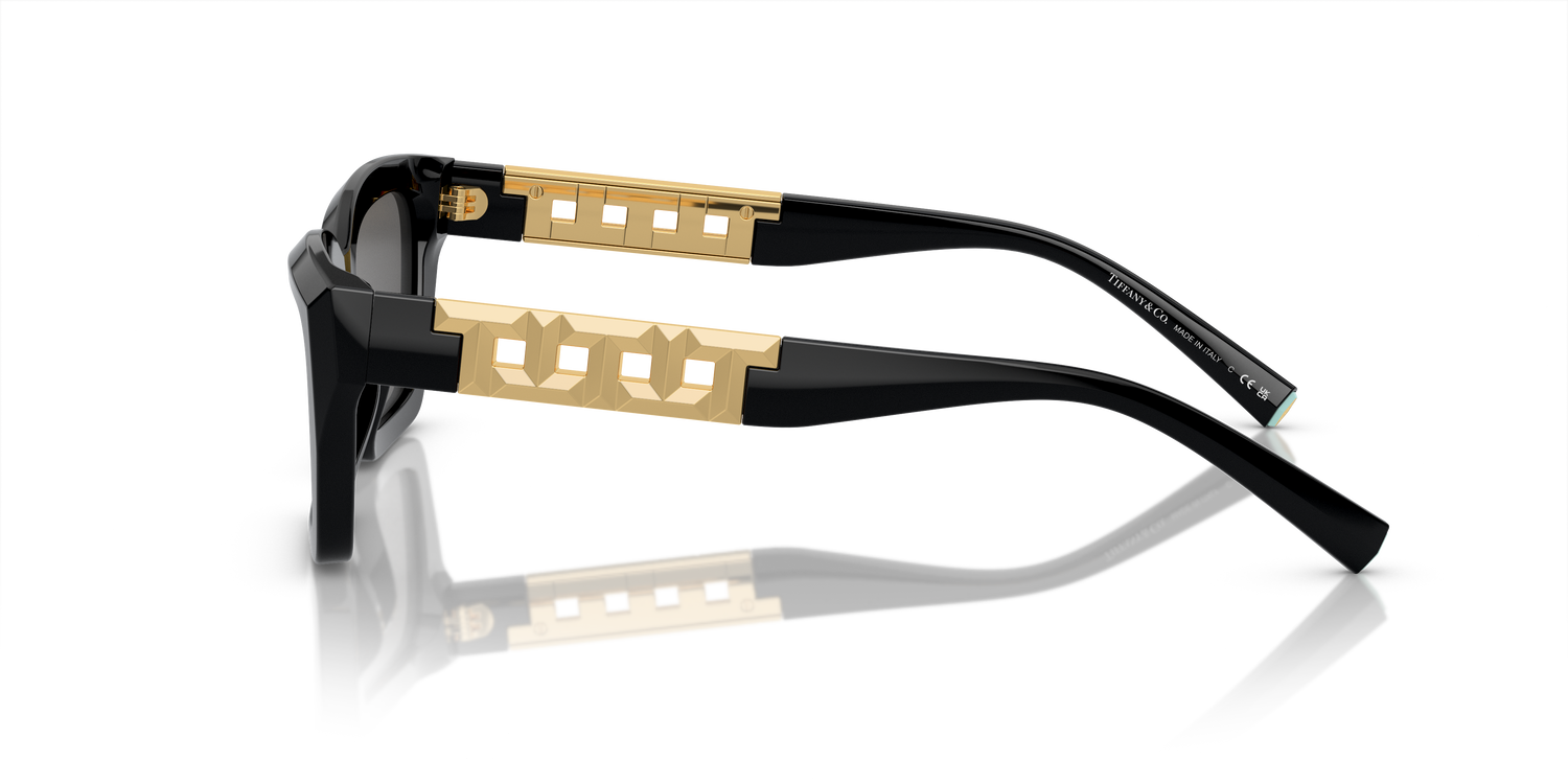 TIFFANY TF4213 8001S4 54