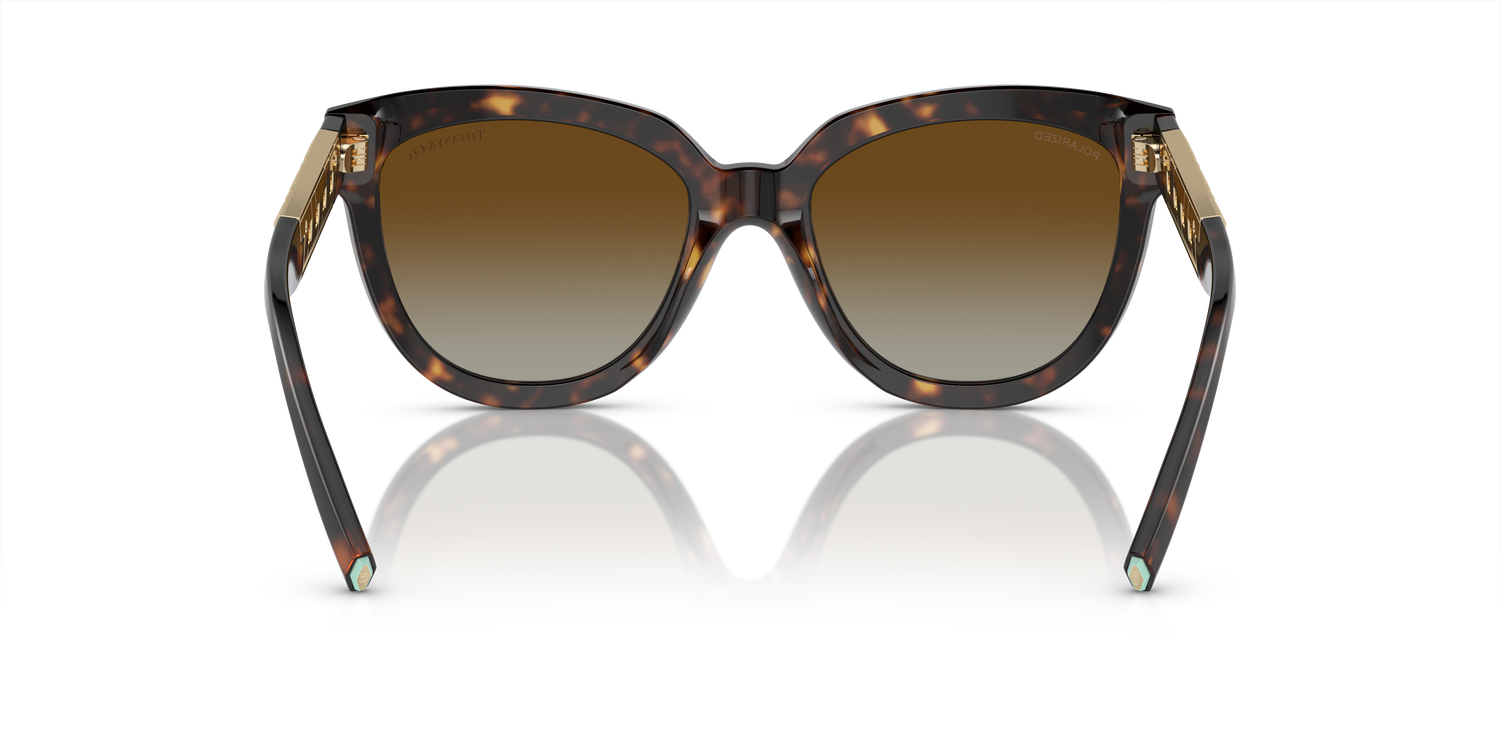 TIFFANY TF4215 8015T5 53