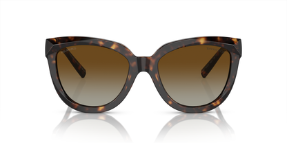 TIFFANY TF4215 8015T5 53