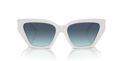 TIFFANY TF4218 83929S 55