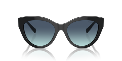 TIFFANY TF4220 80019S 54