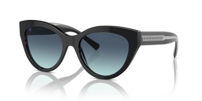 TIFFANY TF4220 80019S 54