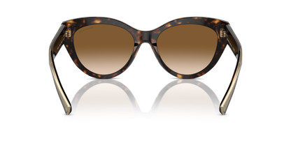 TIFFANY TF4220 801551 54