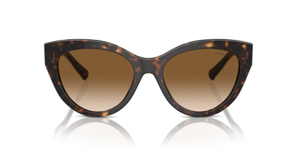 TIFFANY TF4220 801551 54