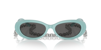 TIFFANY TF4221 8388S4 54