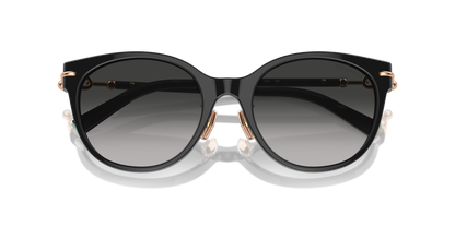 TIFFANY TF4223D 80013C 54