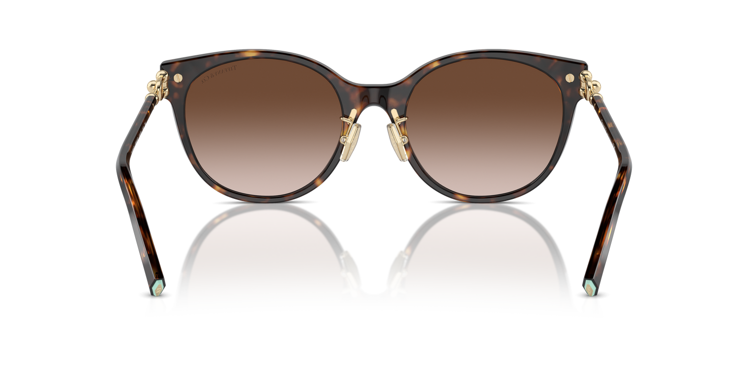 TIFFANY TF4223D 80153B 54