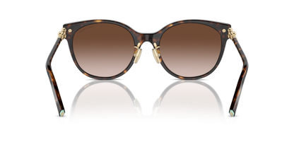 TIFFANY TF4223D 80153B 54