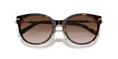 TIFFANY TF4223D 80153B 54