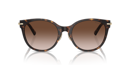 TIFFANY TF4223D 80153B 54