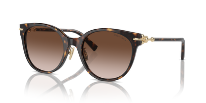 TIFFANY TF4223D 80153B 54