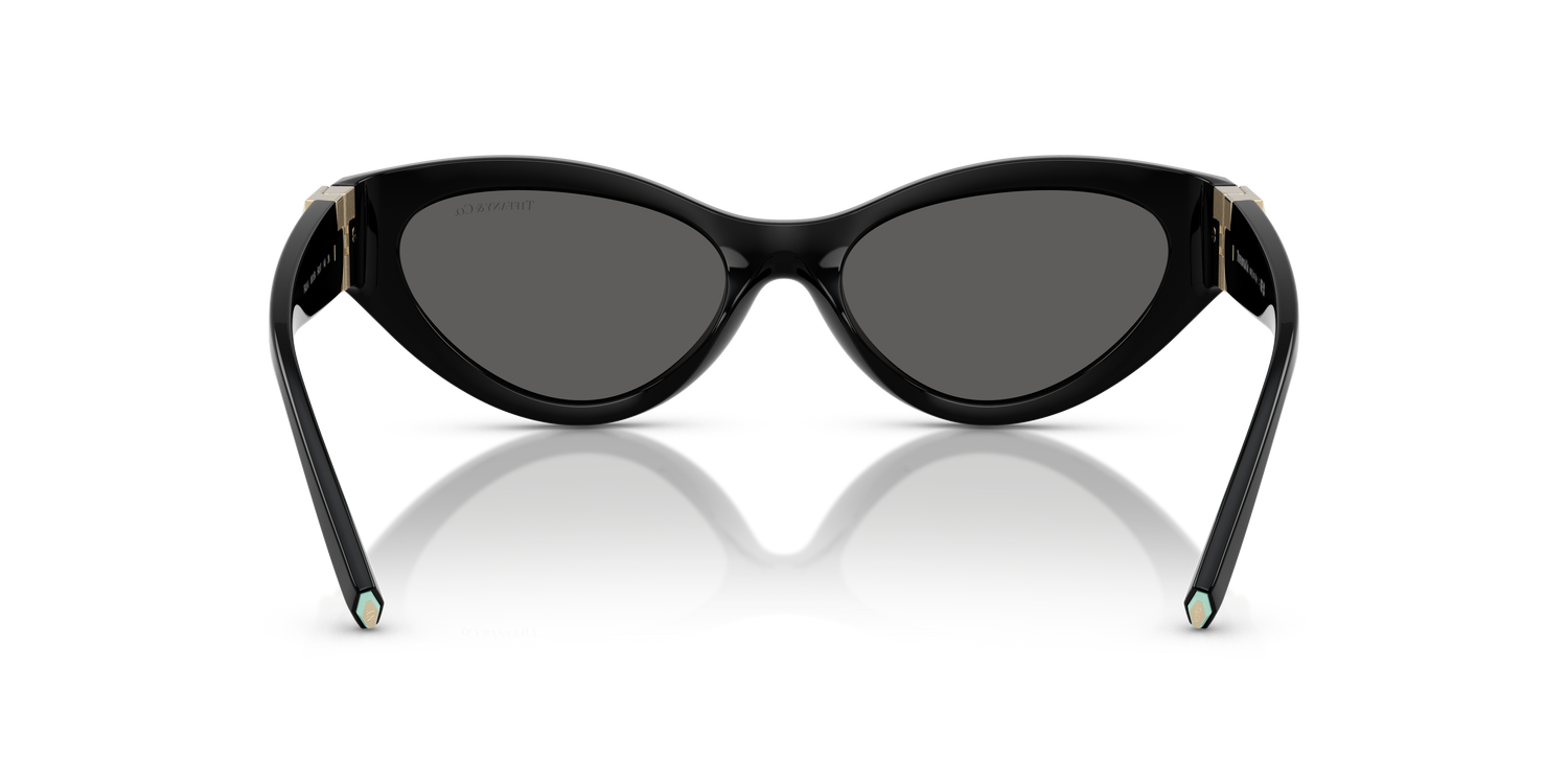 TIFFANY TF4225U 8001S4 54