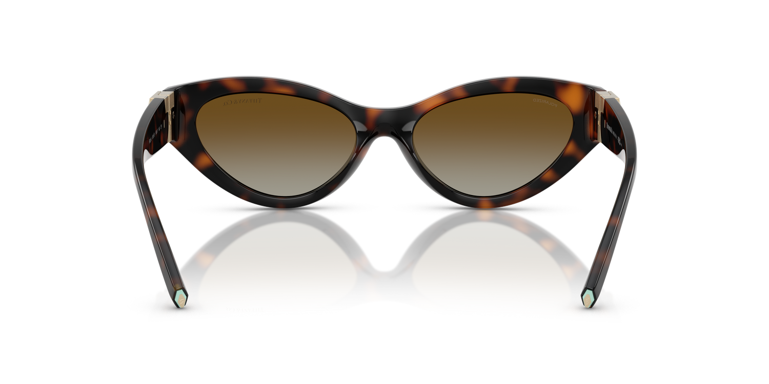 TIFFANY TF4225U 8015T5 54