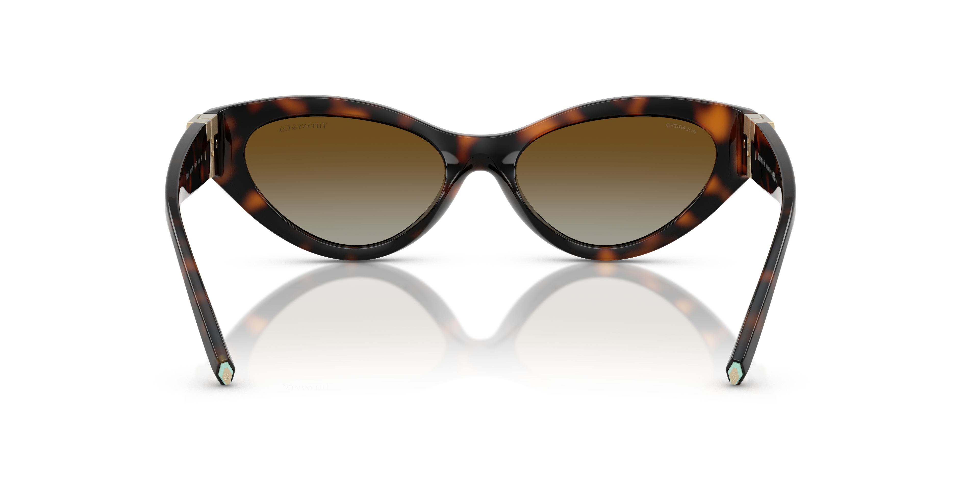 TIFFANY TF4225U 8015T5 54