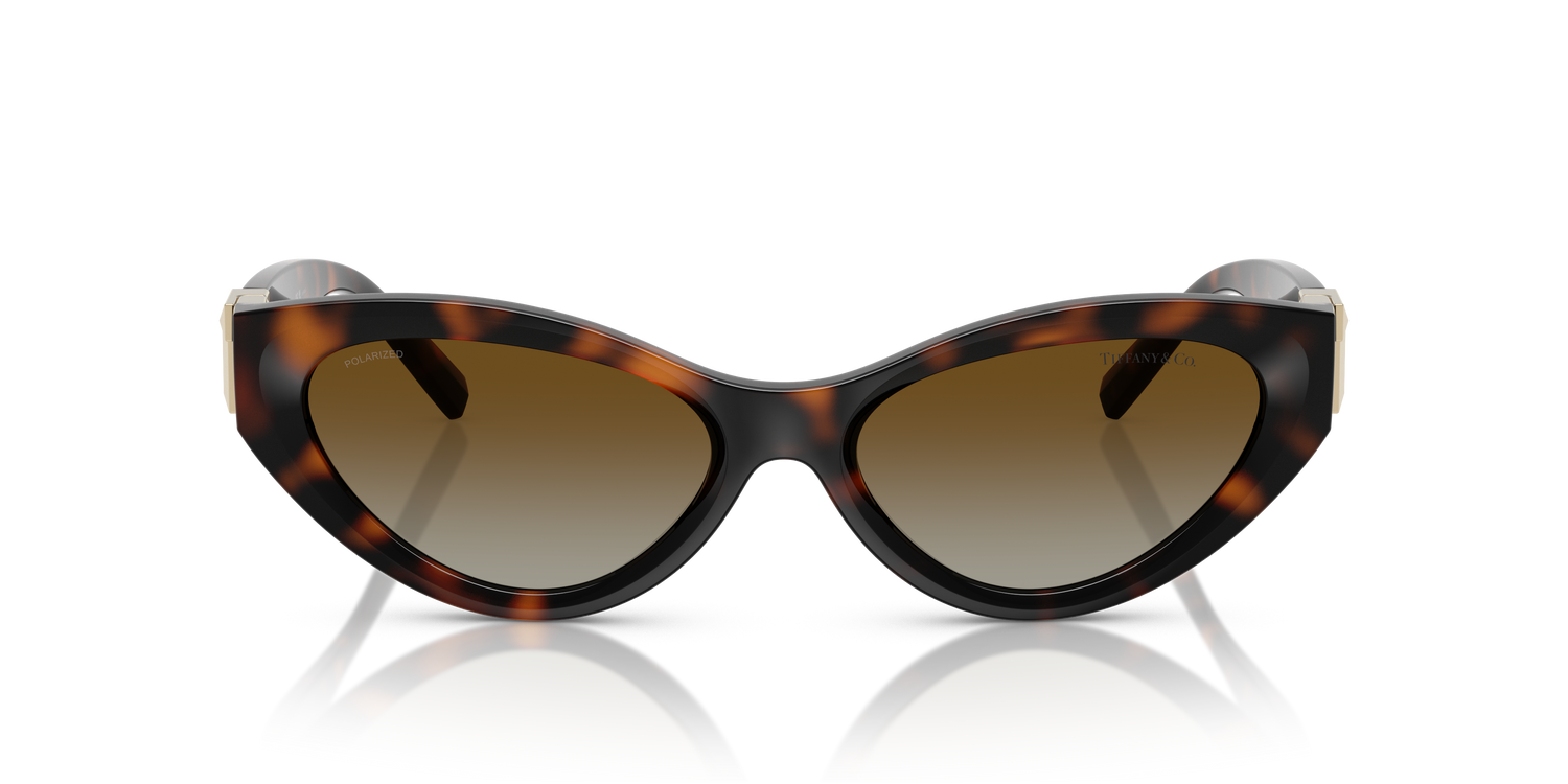 TIFFANY TF4225U 8015T5 54