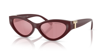 TIFFANY TF4225U 838930 54