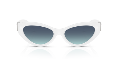 TIFFANY TF4225U 83929S 54