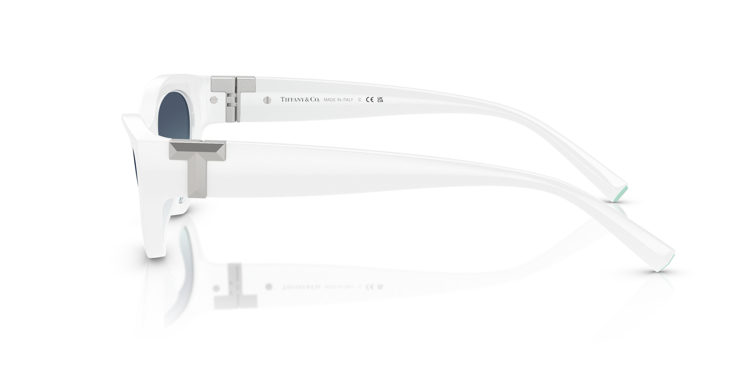 TIFFANY TF4225U 83929S 54