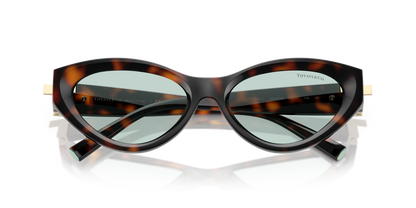 TIFFANY TF4225U 8429D9 54