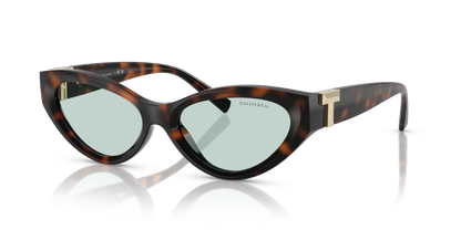 TIFFANY TF4225U 8429D9 54